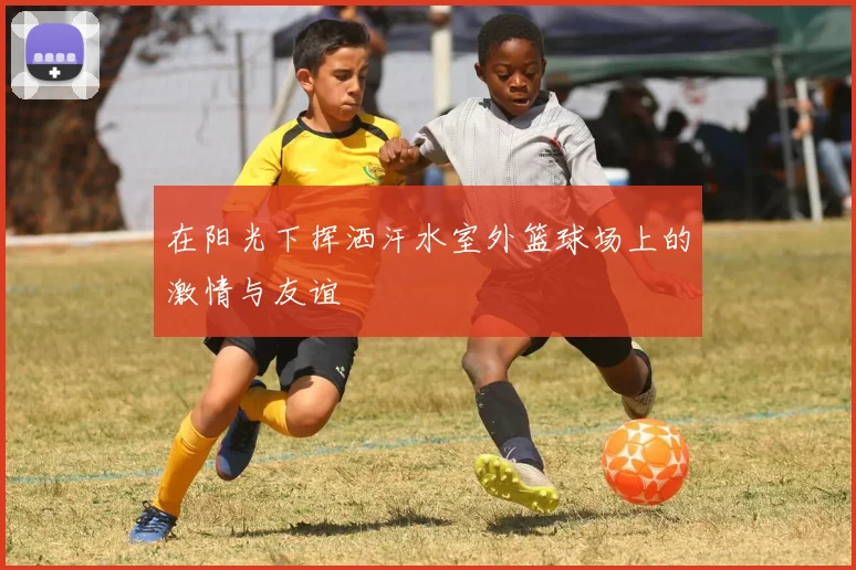 在阳光下挥洒汗水室外篮球场上的激情与友谊