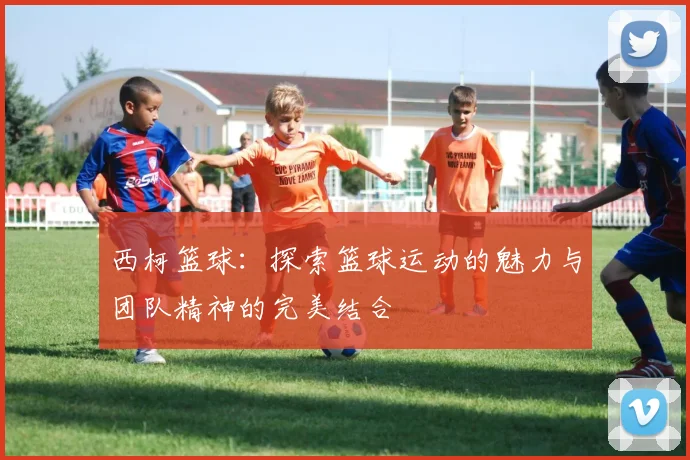 西柯篮球：探索篮球运动的魅力与团队精神的完美结合