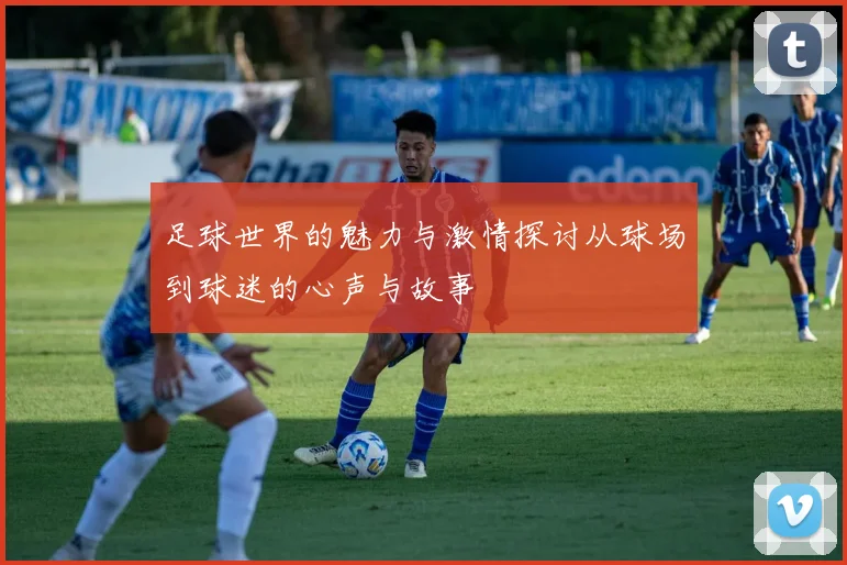 足球世界的魅力与激情探讨从球场到球迷的心声与故事